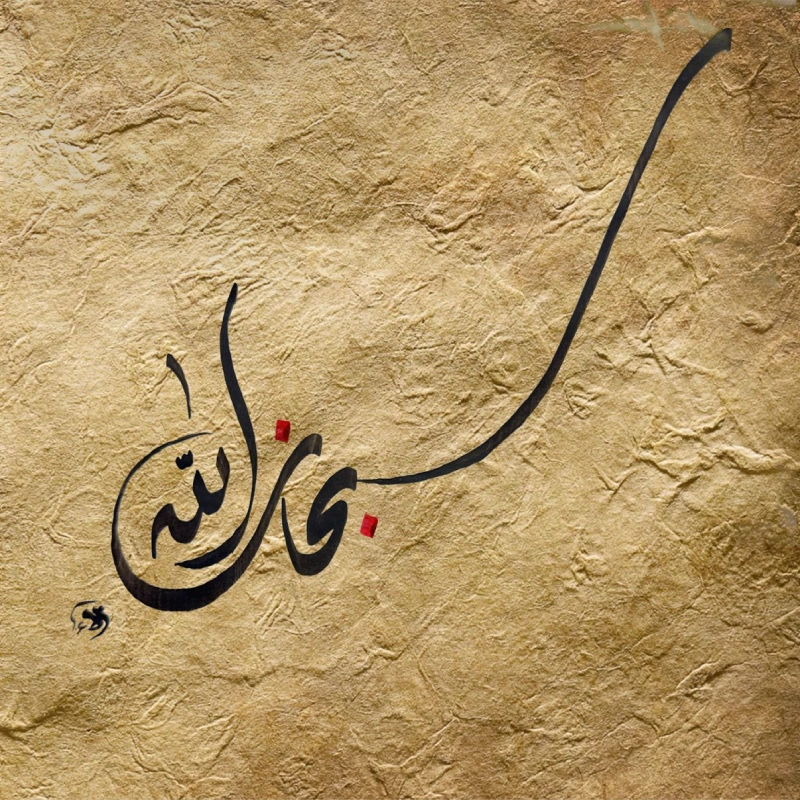 الخطاطة | الاء ماجد زريق